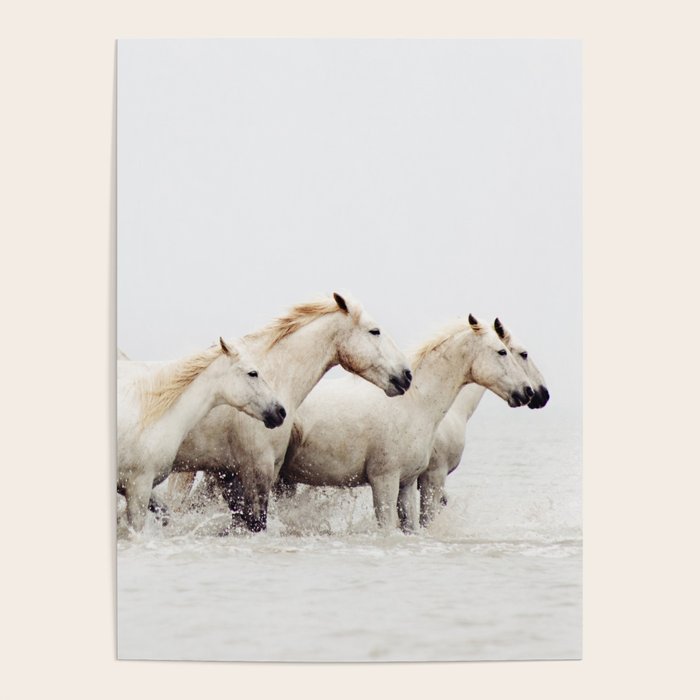 Sea Horses Poster Gallery Image 4