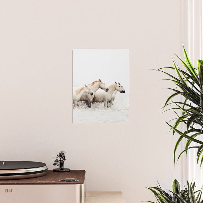 Sea Horses Poster Gallery Image 2