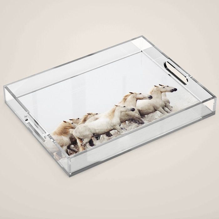 Sea Horses Acrylic Tray Gallery Image 1