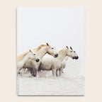 Sea Horses Notebook Gallery Image 4