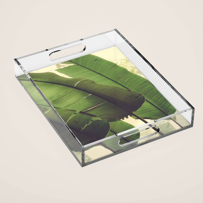 Aligned Acrylic Tray Gallery Image 1