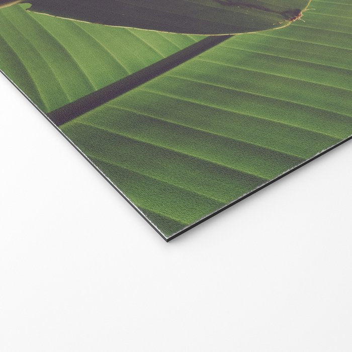 Aligned Welcome Mat Gallery Image 2