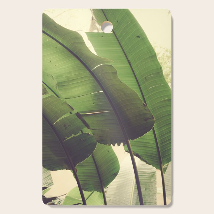 Aligned Cutting Board Gallery Image 1