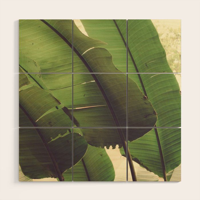 Aligned Wood Wall Art Gallery Image 1