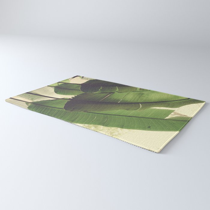 Aligned Rug Gallery Image 3