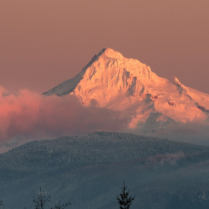 Mount Hood Pastel Sunset - Nature Photography Coffee Mug Gallery Image 2
