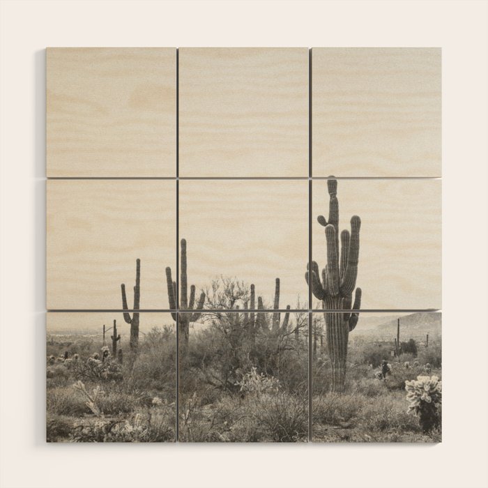 ARIZONA DESERT VI / Scottsdale Wood Wall Art Gallery Image 1