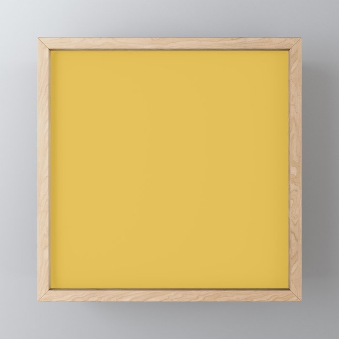 Mustard Yellow Solid Mini Art Print Gallery Image 1