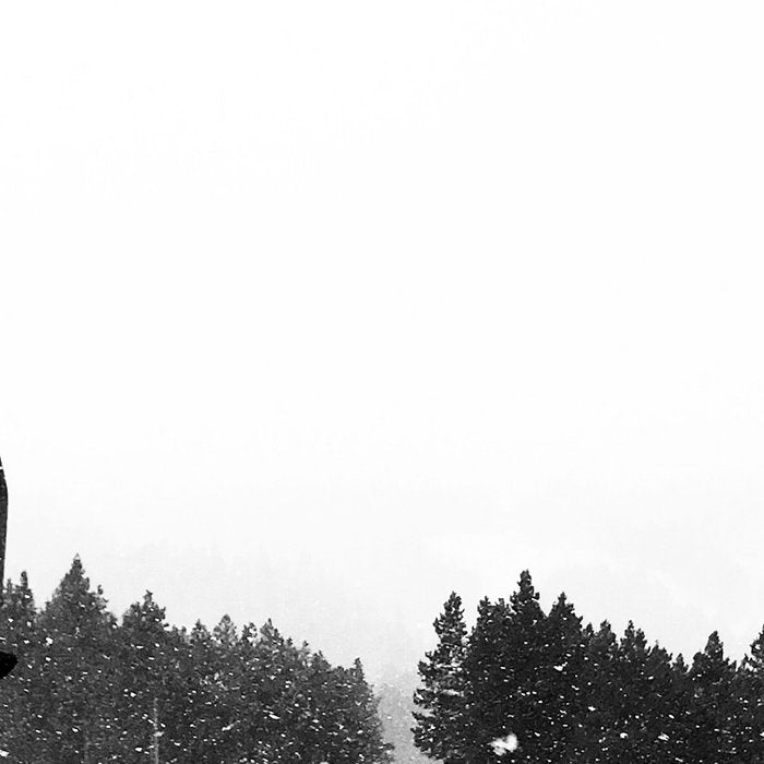 Ski Lifts Views Coffee Mug Gallery Image 2