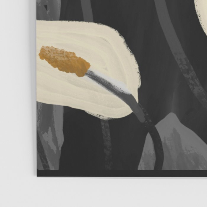 White Calla Lilies 6 Poster Gallery Image 3