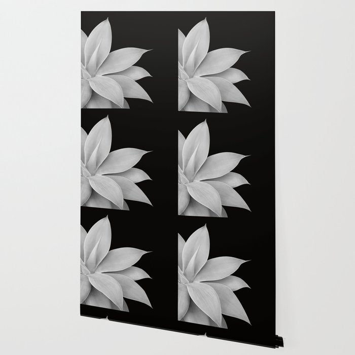 Agave Finesse #2 #tropical #decor #art #society6 Wallpaper Gallery Image 2