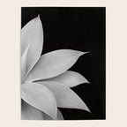 Agave Finesse #2 #tropical #decor #art #society6 Poster Gallery Image 4