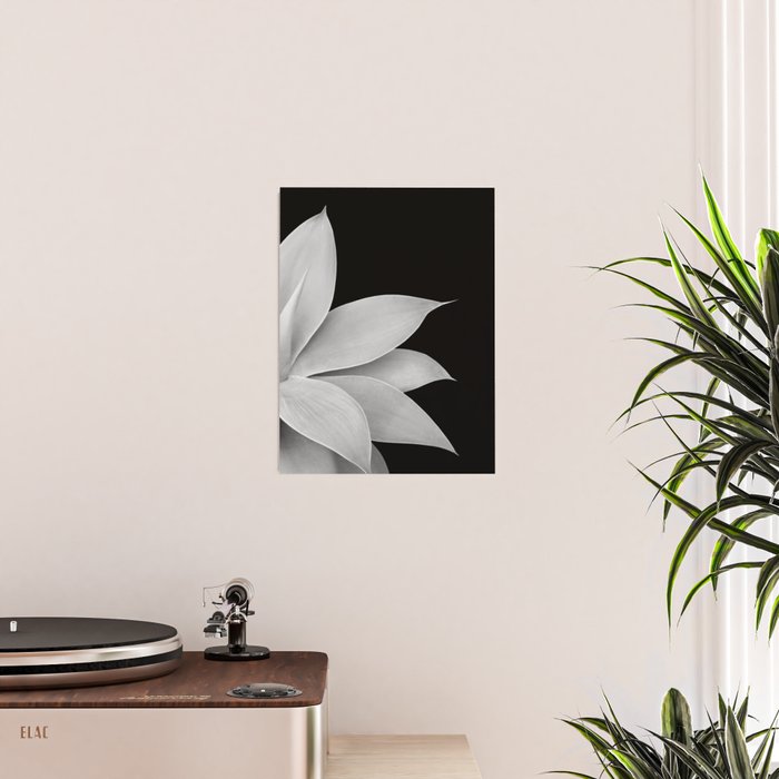 Agave Finesse #2 #tropical #decor #art #society6 Poster Gallery Image 2