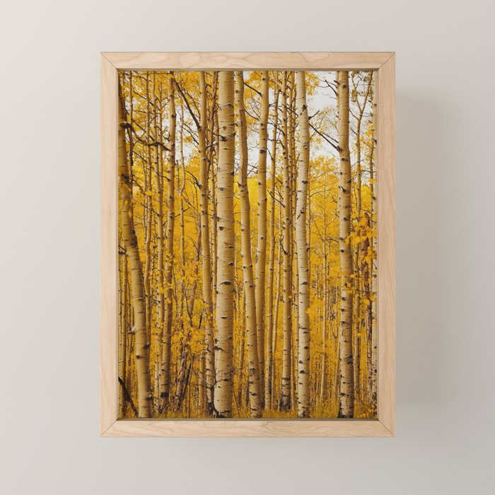 Fairplay Forest Mini Art Print Gallery Image 1