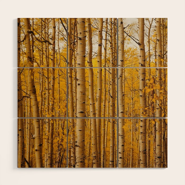 Fairplay Forest Wood Wall Art Gallery Image 1