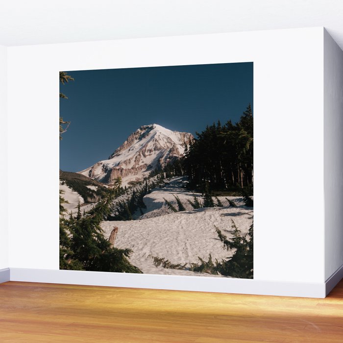 Mount Hood XI Wall Mural Gallery Image 2