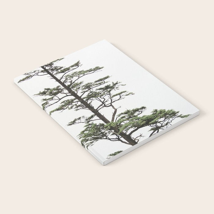 Oregon Coast #2 - Nature, Landscape Photography Notebook Gallery Image 2