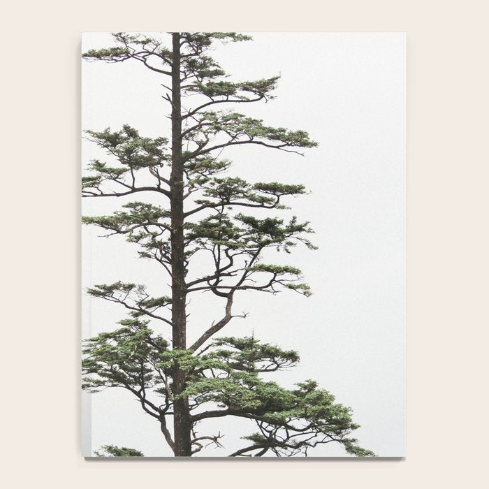 Oregon Coast #2 - Nature, Landscape Photography Notebook Gallery Image 4