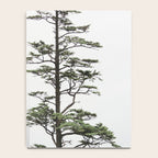 Oregon Coast #2 - Nature, Landscape Photography Notebook Gallery Image 4