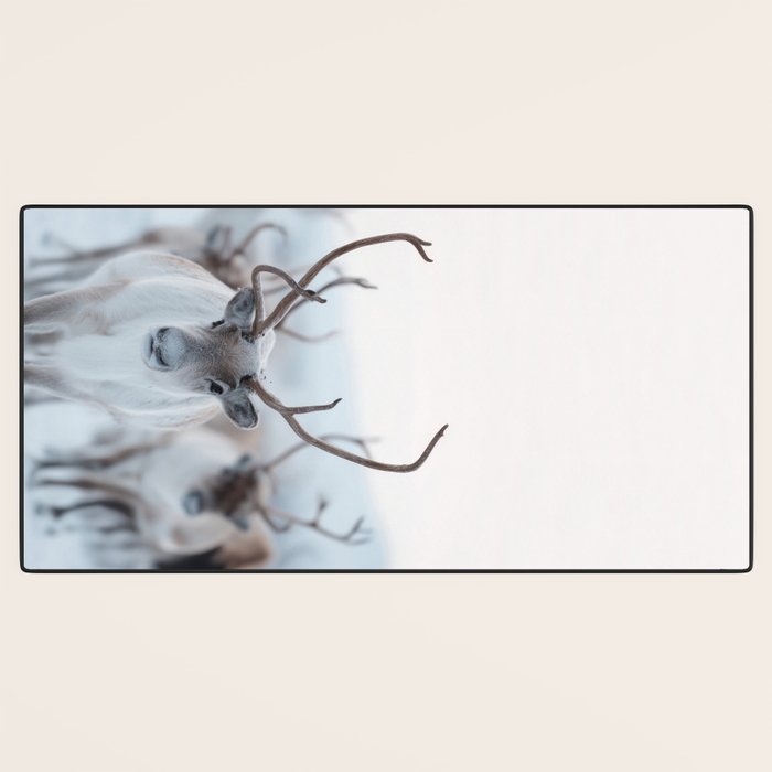 Reindeer in the Snow - Nordic Wildlife Photography Print Desk Mat Gallery Image 3