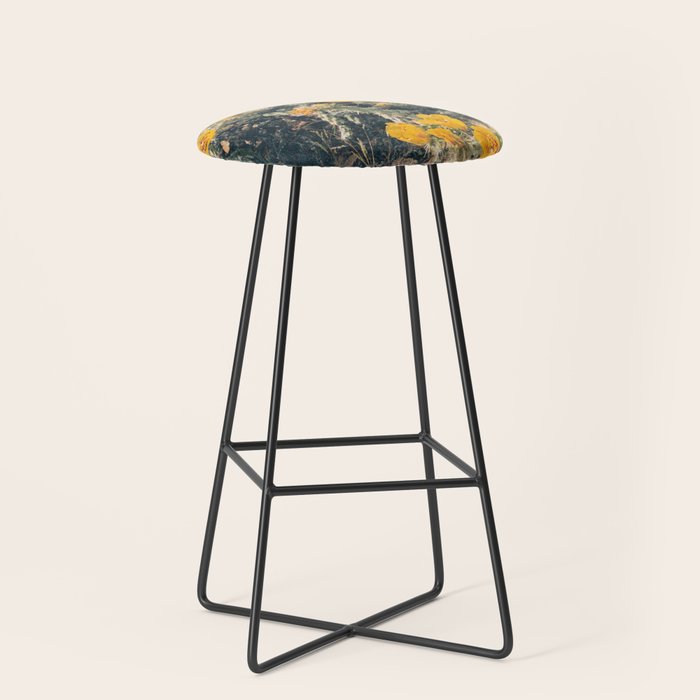 Buckhorn Cholla Cactus Flowers Stool Gallery Image 1