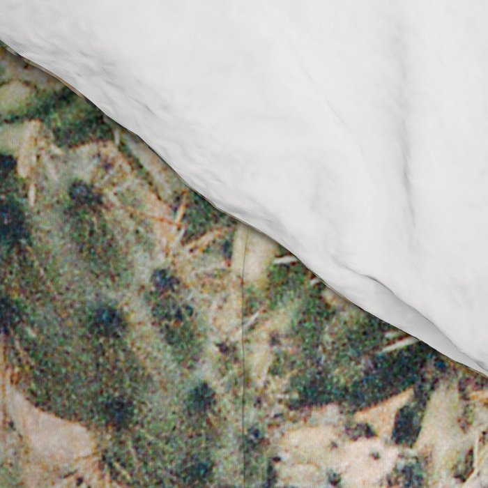 Buckhorn Cholla Cactus Flowers Comforter Gallery Image 4
