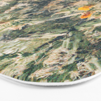 Buckhorn Cholla Cactus Flowers Bath Mat Gallery Image 3