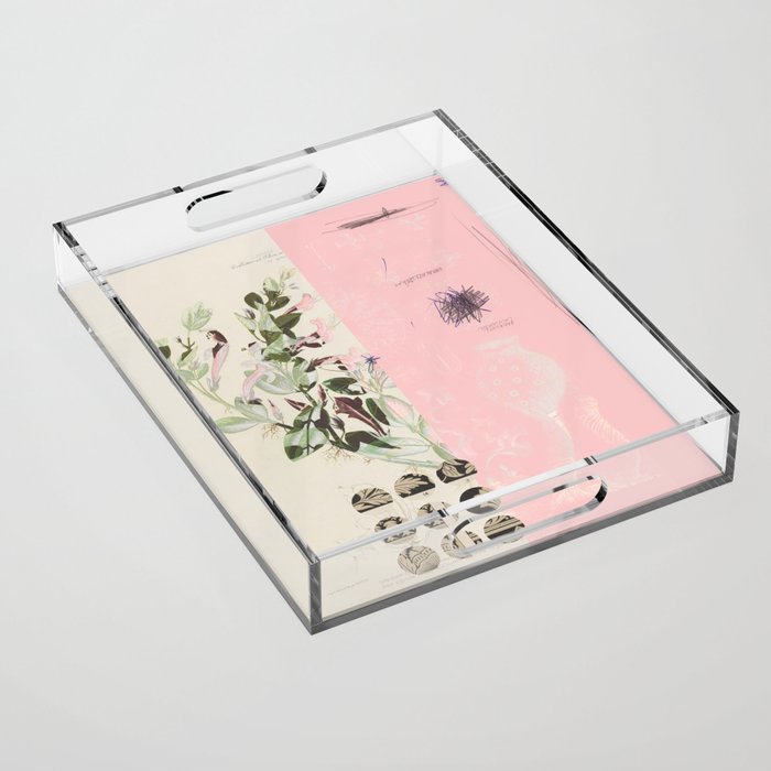 the first plant · mix it up sunday Acrylic Tray Gallery Image 1