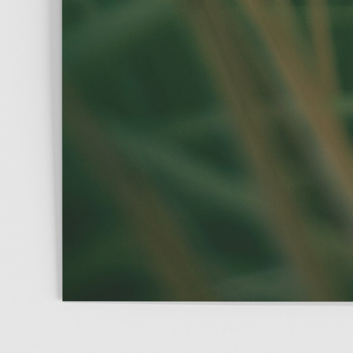Sunset Palmettos Poster Gallery Image 3