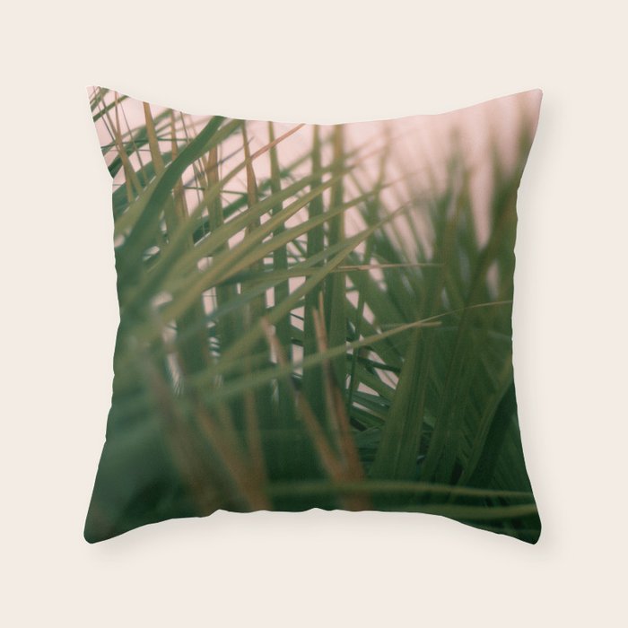 Sunset Palmettos Throw Pillow Gallery Image 1