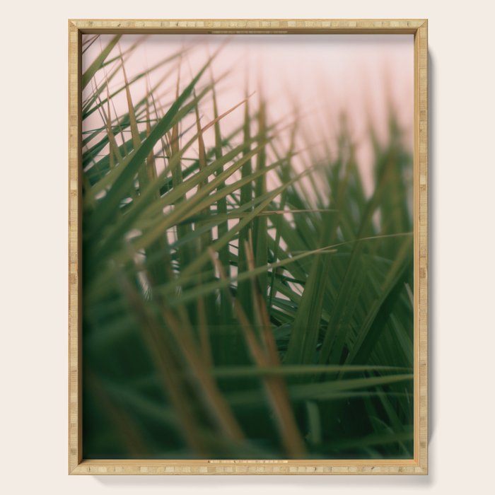 Sunset Palmettos Serving Tray Gallery Image 1