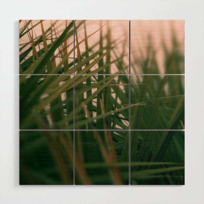 Sunset Palmettos Wood Wall Art Gallery Image 1