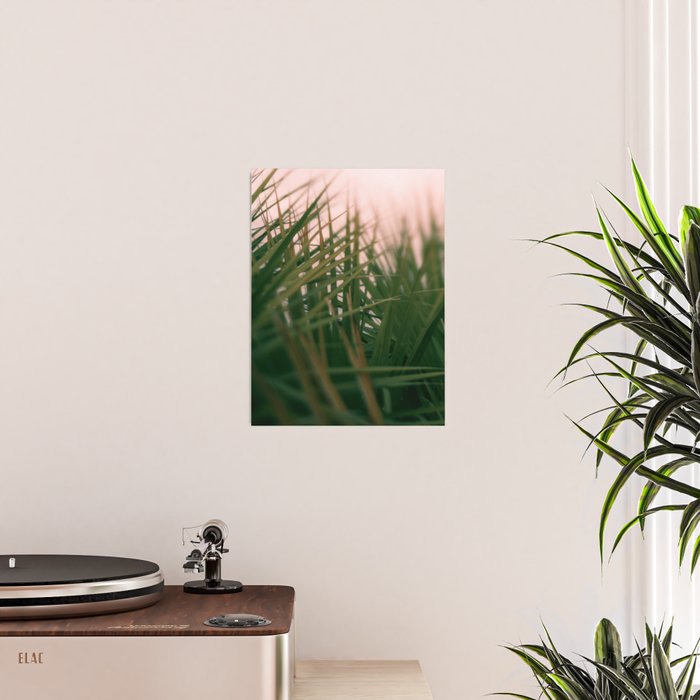Sunset Palmettos Poster Gallery Image 2