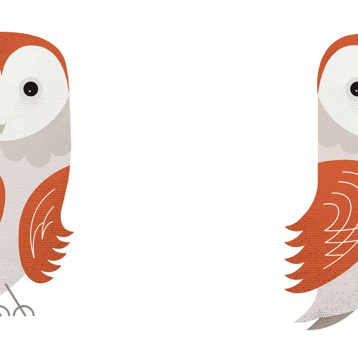 Whimsy Barn Owl Coffee Mug Gallery Image 2