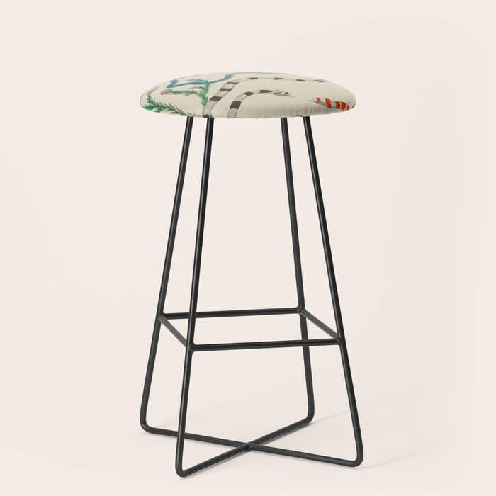 Locupletissimi rerum naturalium - vol. 2 - Albertus Seba Colorful Snake Floral Arrangement Stool Gallery Image 1