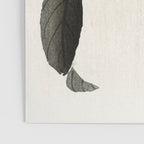 Nightingale on a flowering Camellia - Japanese vintage woodblock print art Poster Gallery Image 3
