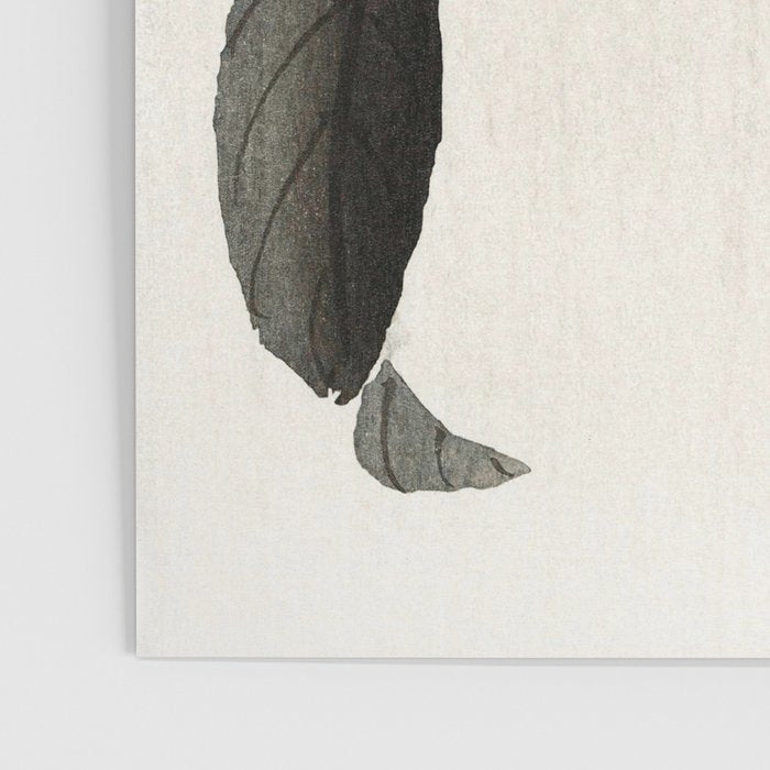 Nightingale on a flowering Camellia - Japanese vintage woodblock print art Poster Gallery Image 3