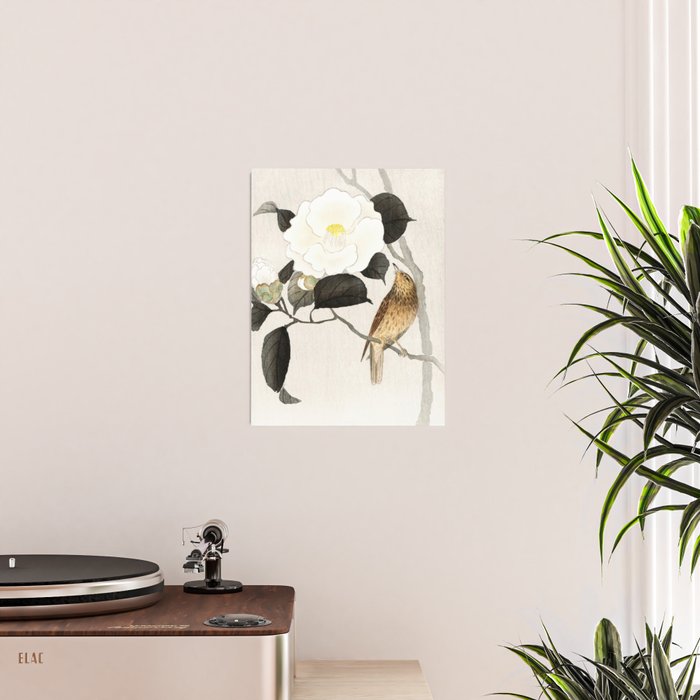 Nightingale on a flowering Camellia - Japanese vintage woodblock print art Poster Gallery Image 2