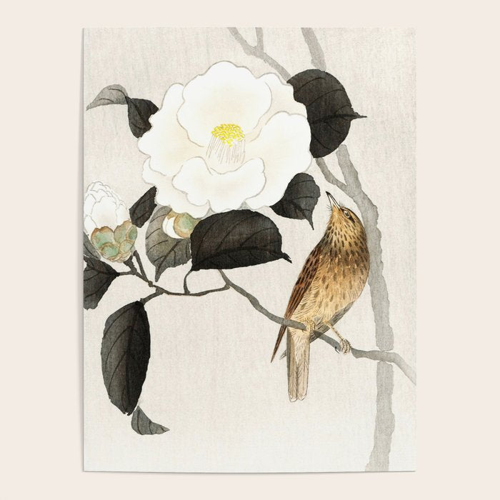 Nightingale on a flowering Camellia - Japanese vintage woodblock print art Poster Gallery Image 4