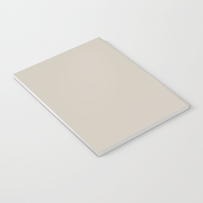 Raccoon Notebook Gallery Image 3