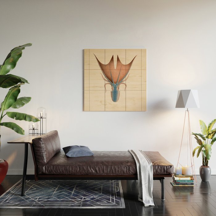 Art from "Mollusques Méditeranéens" by Jean Baptiste Vérany, 1851 (Benefitting The Nature Conservancy) Wood Wall Art Gallery Image 2