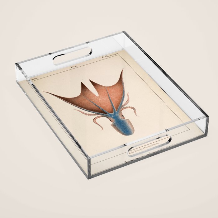 Art from "Mollusques Méditeranéens" by Jean Baptiste Vérany, 1851 (Benefitting The Nature Conservancy) Acrylic Tray Gallery Image 1