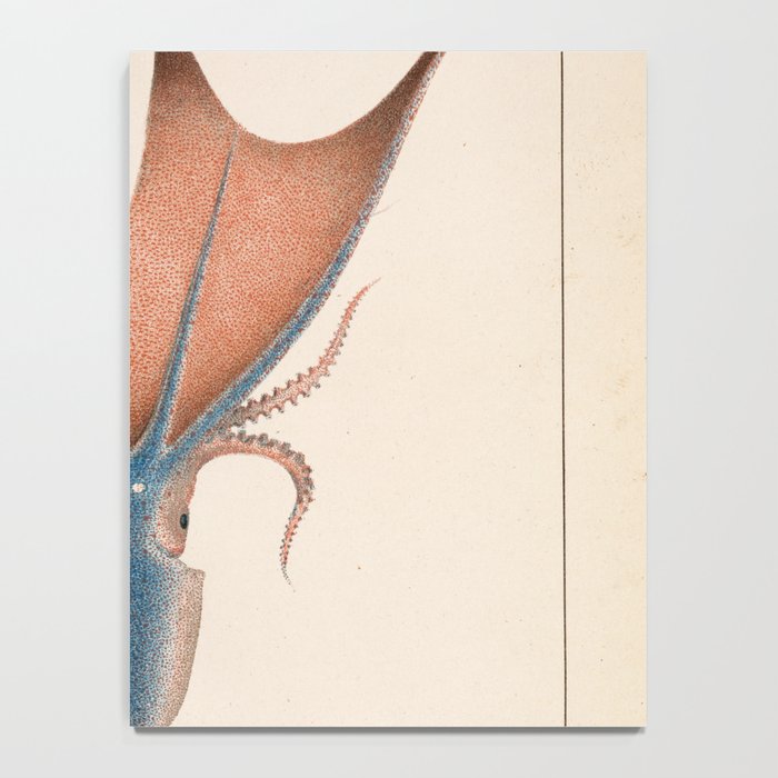 Art from "Mollusques Méditeranéens" by Jean Baptiste Vérany, 1851 (Benefitting The Nature Conservancy) Notebook Gallery Image 4