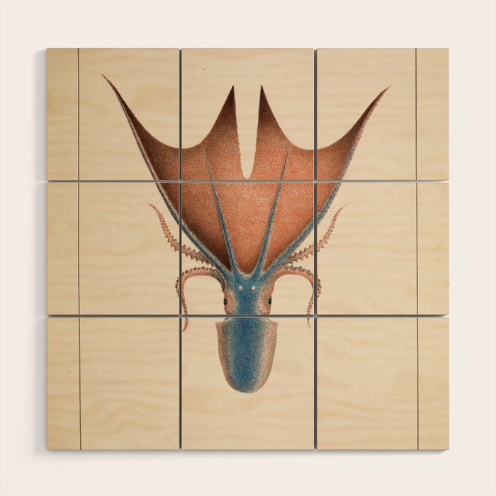 Art from "Mollusques Méditeranéens" by Jean Baptiste Vérany, 1851 (Benefitting The Nature Conservancy) Wood Wall Art Gallery Image 1
