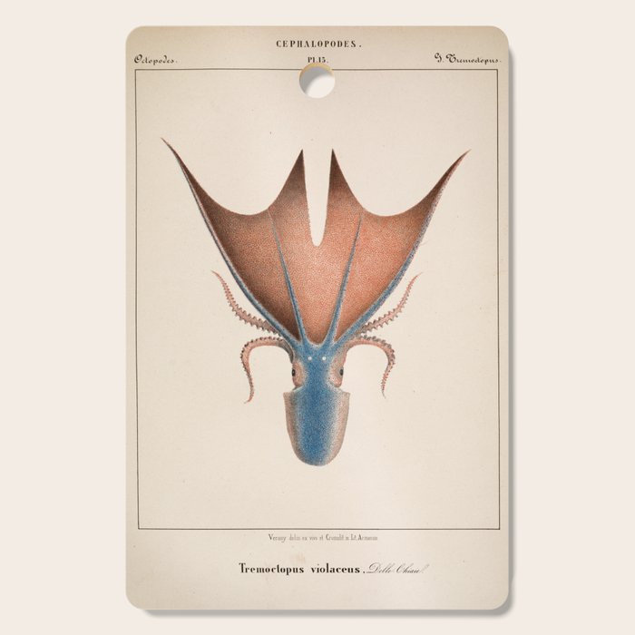 Art from "Mollusques Méditeranéens" by Jean Baptiste Vérany, 1851 (Benefitting The Nature Conservancy) Cutting Board Gallery Image 1