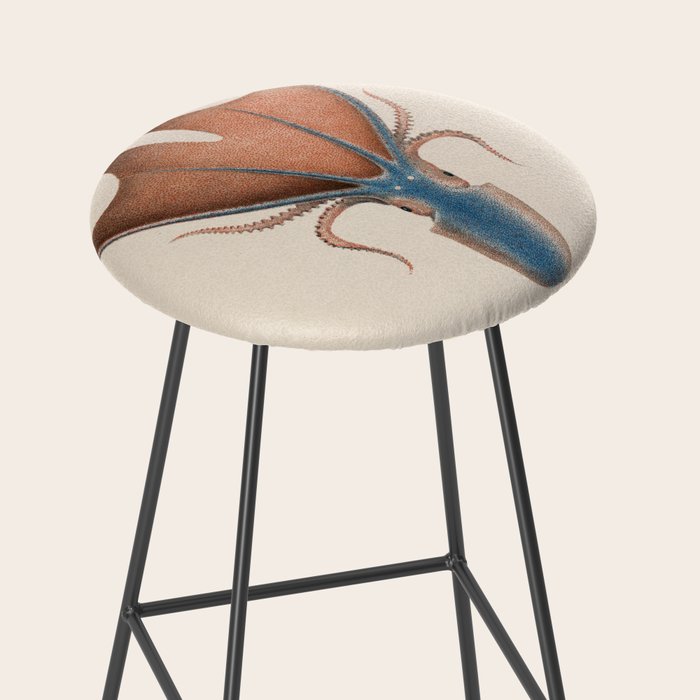 Art from "Mollusques Méditeranéens" by Jean Baptiste Vérany, 1851 (Benefitting The Nature Conservancy) Stool Gallery Image 2