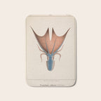 Art from "Mollusques Méditeranéens" by Jean Baptiste Vérany, 1851 (Benefitting The Nature Conservancy) Bath Mat Gallery Image 1
