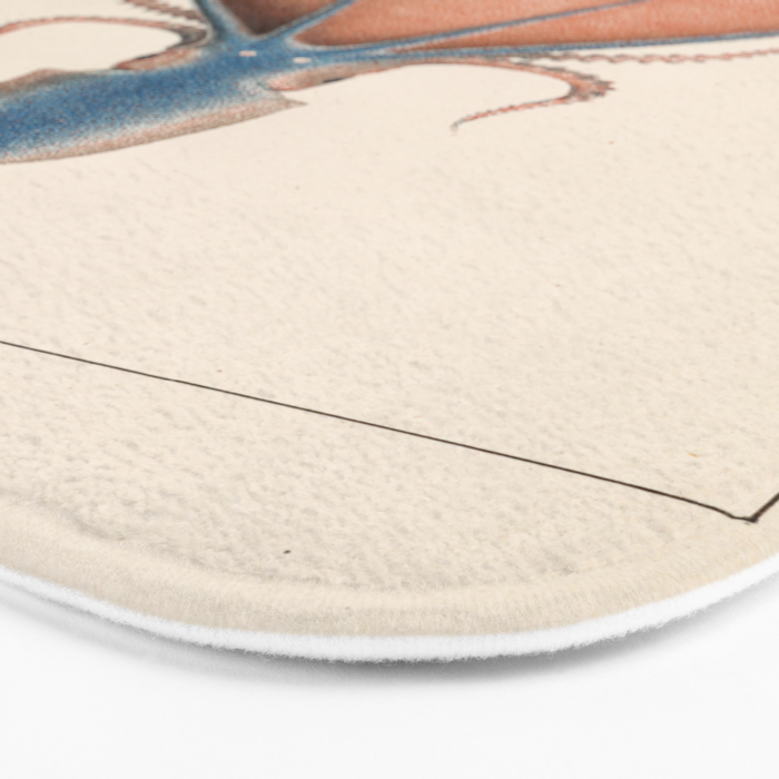 Art from "Mollusques Méditeranéens" by Jean Baptiste Vérany, 1851 (Benefitting The Nature Conservancy) Bath Mat Gallery Image 3