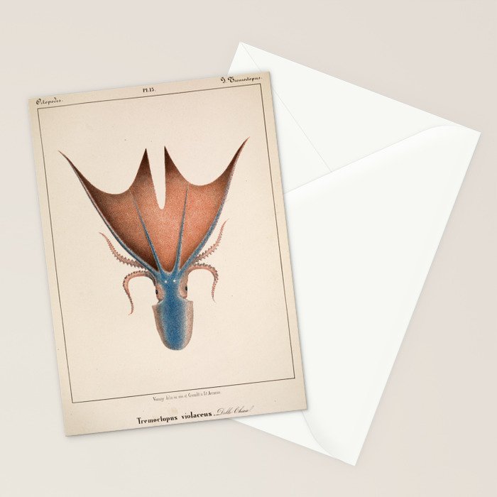 Art from "Mollusques Méditeranéens" by Jean Baptiste Vérany, 1851 (Benefitting The Nature Conservancy) Stationery Card Gallery Image 2