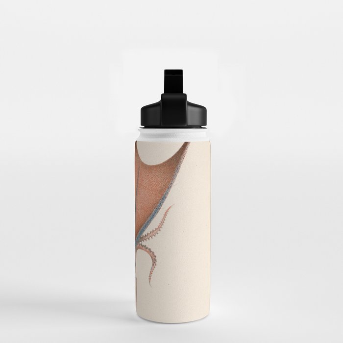 Art from "Mollusques Méditeranéens" by Jean Baptiste Vérany, 1851 (Benefitting The Nature Conservancy) Water Bottle Gallery Image 2